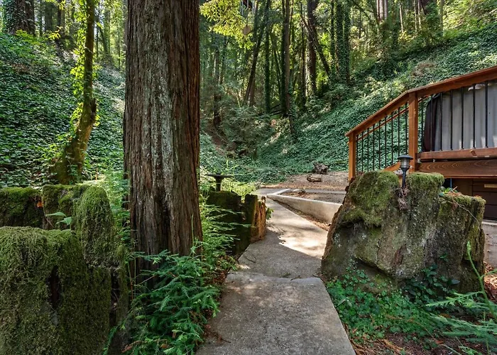 Redwood Hollow - Hot Tub Walk To River Redwoods